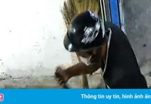 Xịt hơi cay vào 3 trẻ ở TP.HCM, cướp 2 điện thoại