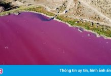 Nước trong đầm phá ở Argentina chuyển màu bất thường