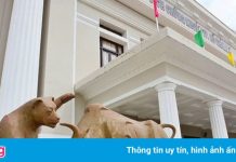 HoSE thu 10 tỷ đồng mỗi phiên giao dịch