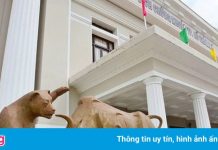 Hơn 10 tỷ USD vốn hóa chứng khoán ‘bốc hơi’ trong 2 ngày