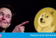 Giá Dogecoin tăng vọt sau thông điệp của Elon Musk và CEO Twitter