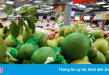 Thành lập tổ công tác chỉ đạo sản xuất, tiêu thụ nông sản ở phía Nam