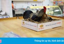 Siêu thị gánh lỗ khi bán trứng giá bình ổn