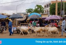 Cảnh tượng khác thường tại quốc gia bị Covid-19 bỏ quên