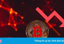 Giá Bitcoin sụt xuống dưới 30.000 USD/đồng