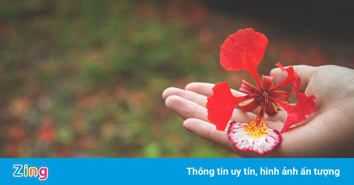 Trái tim đau trong ngôi nhà khép cửa