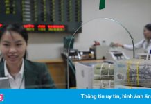 SSI Research: Các ngân hàng có thể được nới tín dụng một lần nữa