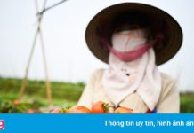 Rau củ, thịt cá khó tìm đường vào TP.HCM