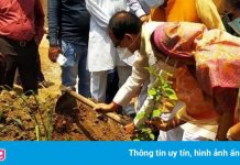 Ấn Độ xây công viên từ tro cốt nạn nhân Covid-19