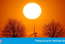 31 triệu người Mỹ sẽ đón đợt nắng nóng kỷ lục, có nơi 47 độ C