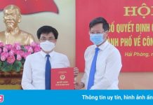 Hải Phòng bổ nhiệm hàng loạt lãnh đạo