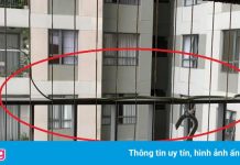 Rắn từng xuất hiện trong chung cư Masteri Thảo Điền