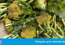 Chờ đợi lâu, nhiều rau củ từ tỉnh về TP.HCM bị hư hỏng