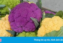 Lừa đảo bán rau Đà Lạt hữu cơ