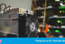 Mỏ đào Bitcoin đun nóng hồ nước thơ mộng tại New York