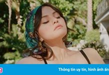 Chất đầy tiền trong tủ lạnh và lối sống xa xỉ của giới nghệ sĩ