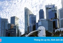 Người Việt ở Singapore mong mỏi kế hoạch sống chung với đại dịch