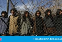 22 biệt kích Afghanistan giơ tay hàng, Taliban vẫn nã súng bắn chết