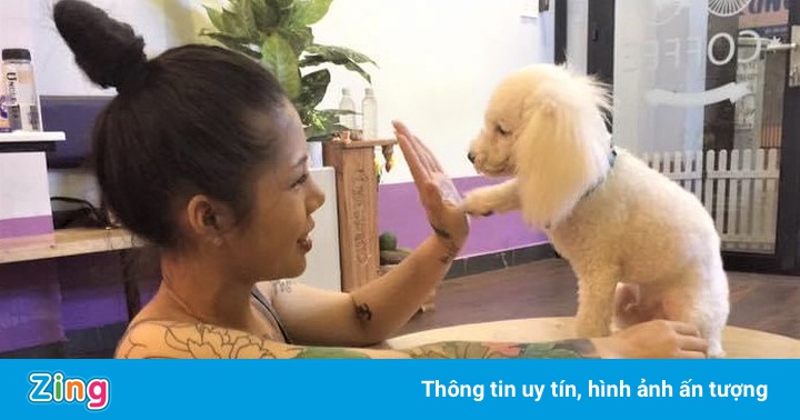 Lên phương án chăm sóc thú nuôi trước nguy cơ bị cách ly