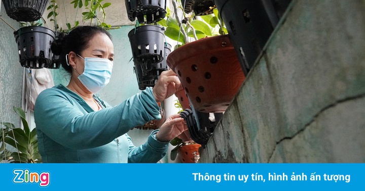 Sống nơm nớp trong khu tập thể xuống cấp ở trung tâm Hải Phòng Sống nơm nớp trong khu tập thể xuống cấp ở trung tâm Hải Phòng