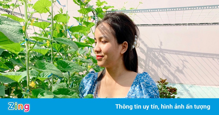 Dân TP.HCM tận dụng ban công, sân thượng để trồng rau