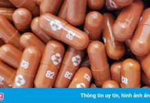 Ai sẽ cán đích trước trong cuộc đua chế tạo thuốc điều trị Covid-19?