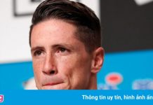 Torres bắt đầu sự nghiệp huấn luyện viên