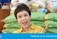 Việt Hương, Đan Trường góp chục tấn gạo hỗ trợ người dân TP.HCM