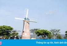 Doanh thu quý II của Vinamilk cao kỷ lục, đạt hơn 15.700 tỷ đồng