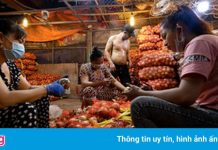 Chợ Hóc Môn mở cửa với 9 tiểu thương kinh doanh