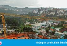 Khẩn cấp đánh giá an toàn cần trục tháp tại showroom ôtô ở Đà Lạt