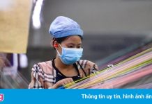 Hạnh phúc là vẫn được làm việc sau mỗi lần test nhanh