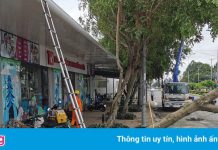 Mưa dông làm sập, tốc mái 45 căn nhà ở Cần Thơ