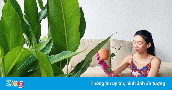 Dân đô thị tìm niềm vui với cây xanh những ngày TP.HCM giãn cách