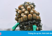 ‘Ngành nông nghiệp sẽ vượt chỉ tiêu tăng trưởng Chính phủ giao’