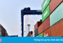 Đề nghị giảm phí lưu kho bãi container cho doanh nghiệp