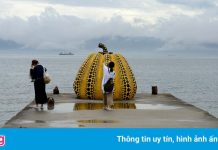 Quả ‘bí ngô’ khổng lồ bên bờ biển Nhật Bản bị bão cuốn trôi