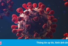 Thêm biến chủng đáng ngại của virus corona xuất hiện ở châu Mỹ