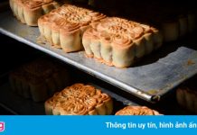 Doanh nghiệp lo mùa bánh Trung thu năm nay gặp khó