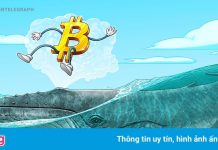 ‘Cá voi’ tiếp tục bơm tiền vào Bitcoin