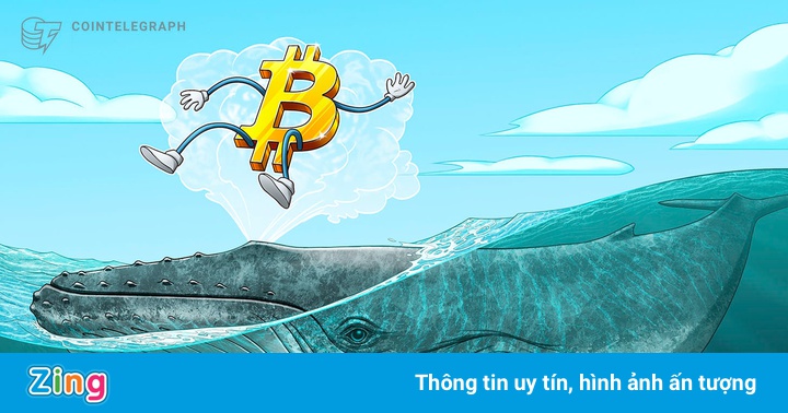 ‘Cá voi’ tiếp tục bơm tiền vào Bitcoin