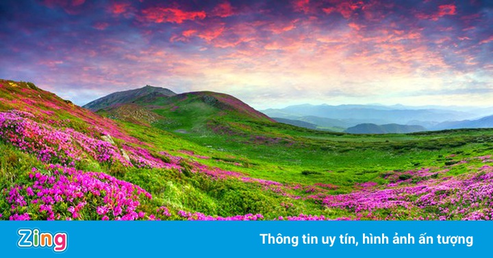 Vẻ đẹp mê hoặc của những thung lũng ở Ấn Độ Vẻ đẹp mê hoặc của những thung lũng ở Ấn Độ