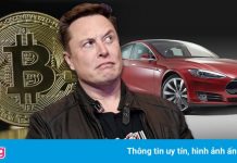 Những người đủ tầm thay thế Elon Musk