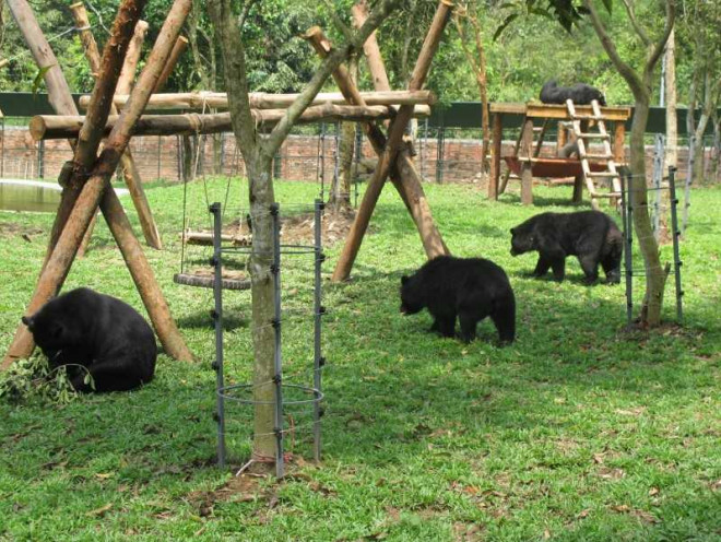 Những "báu vật" vô giá khiến thế giới ngỡ ngàng ở vườn Quốc gia Cát Tiên - 11