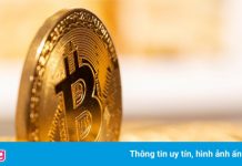 Giá Bitcoin cán mốc 50.000 USD/đồng