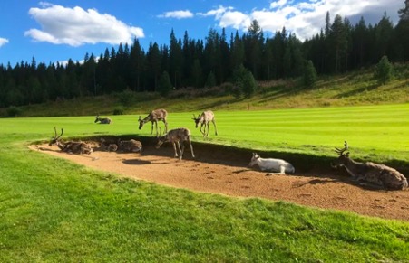 Những sân golf kỳ lạ nhất thế giới - 2