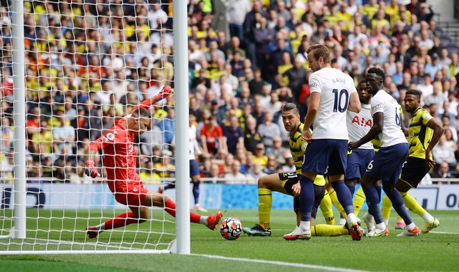 Tottenham dau Watford anh 7