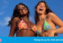 Những họa tiết quần áo nổi bật năm nay