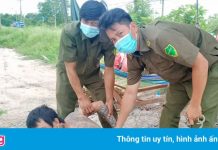 Tạm giữ người đánh công an tại chốt kiểm dịch