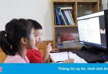 Bộ GD&ĐT chỉ đạo không gây áp lực khi trẻ lớp 1 học trực tuyến